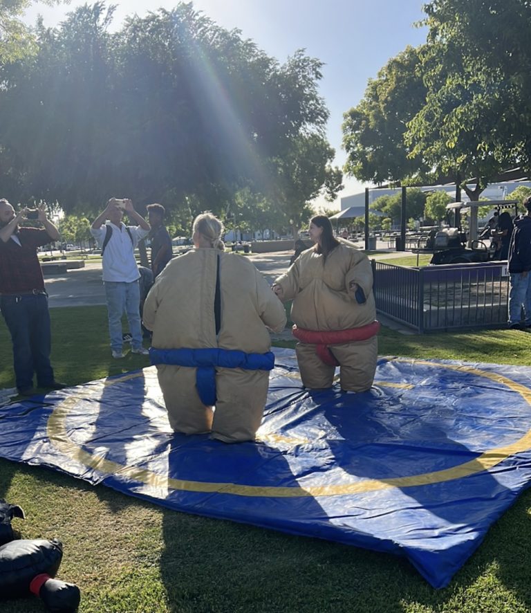 Interactive Games inflatable sumo wrestling